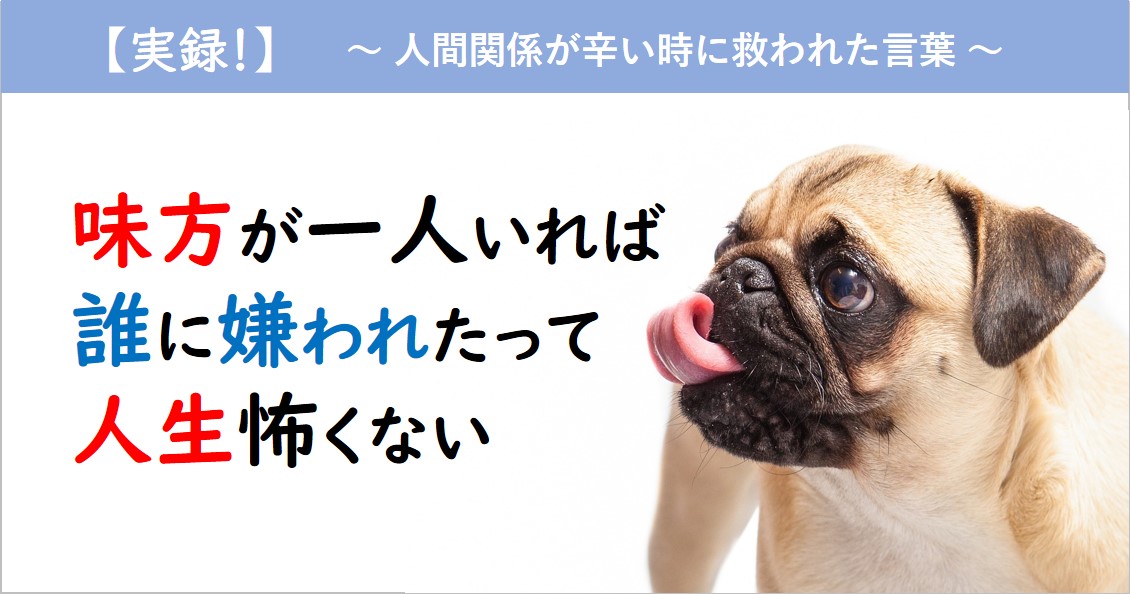 【実録】人間関係がうまくいかない時に救われた言葉｜味方が一人いれば、誰に嫌われたっていいじゃない